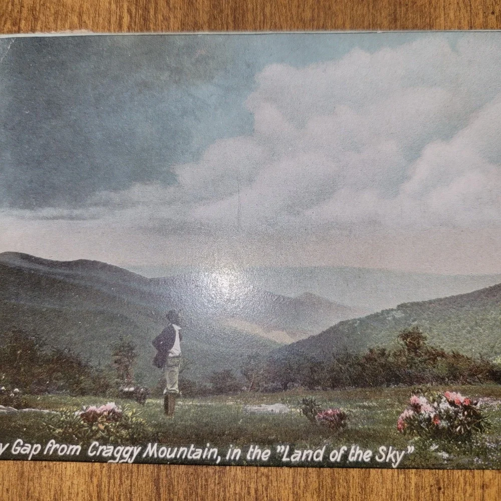 1908 Ivy Gap Craggy Mountain‎ Asheville NC Postcard Land of the Sky 1¢...